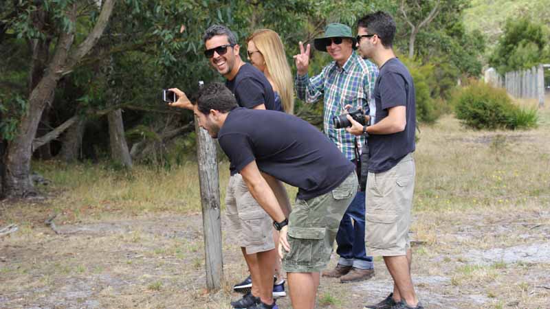 Experience the internationally renowned Great Ocean Road on an exciting day trip brought to you by Oceania Tours!